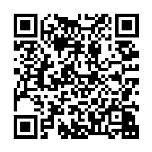 她把院子里的四名保镖和三个负责做饭打扫的佣人都召集过来二维码生成