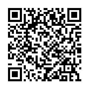 她抱着一个半人高的大布偶差点在榻上打起滚来二维码生成