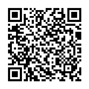 她指了指一直戴在耳朵上的洪大力在拍卖会上买的项链二维码生成