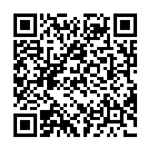 她握着一份检查报告径直朝孙建兵所在的位置走了过去二维码生成