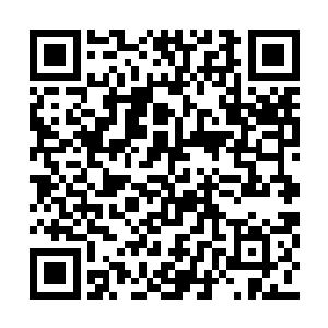 她摸出电话就要给自己当公安部长的爸爸打电话二维码生成