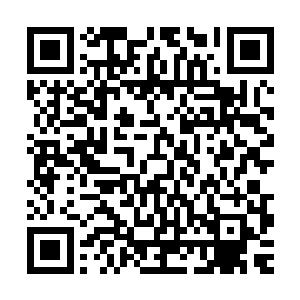 她既然打定了主意要用这种方法逼凤羽珩出面去救凤瑾元出大牢二维码生成