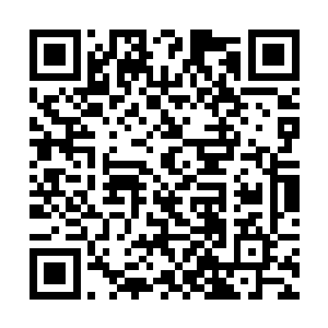 她早就不是那种会以为江湖处处有侠义的无知少女了二维码生成