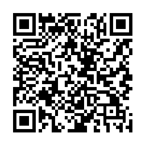 她明明听到刚刚那茹嘉公主还在说着昨晚凤伯伯给买了花灯二维码生成