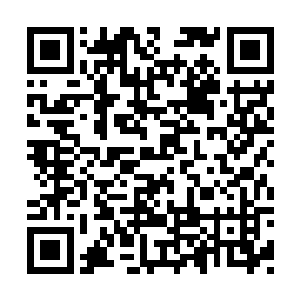 她是不得已才承认自己是袁形认可的锦宫当家人二维码生成