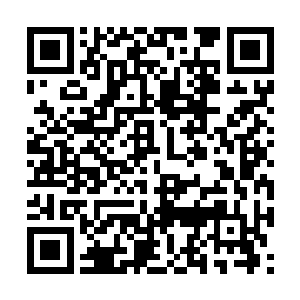 她是和乾元仙国玉帝加上一个天王联手将我击伤的二维码生成