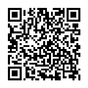 她是咱们市委组织部长文红花同志的独生爱女啊二维码生成