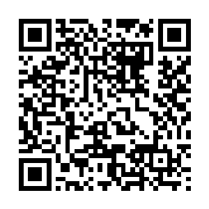 她是怎么都不相信竟然被自己最信任的人给这样背叛出局二维码生成