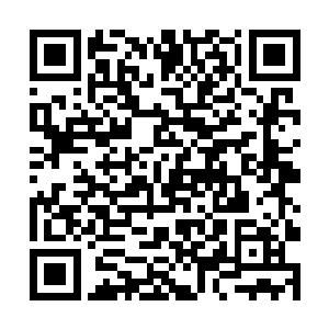 她是沈馥的主治医生和沈馥之外第三个知道消息的人二维码生成