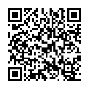 她显然太关注猴子的天赋而低估了这只猴子的心智二维码生成