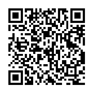 她曾经以赵长枪律师的身份要求看过迪米塔和兹拉坦的尸体二维码生成