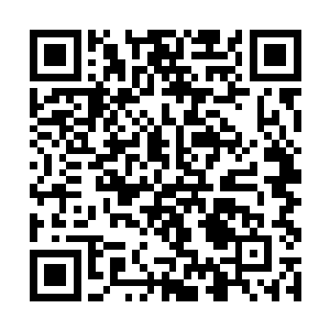 她曾经在河伯仙府内的山河谱中见到过这种巨型螳螂二维码生成