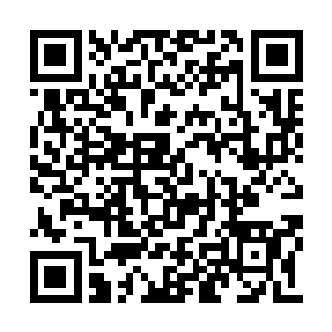 她最担心的就是白开山将自己的老底掀给丁长生二维码生成