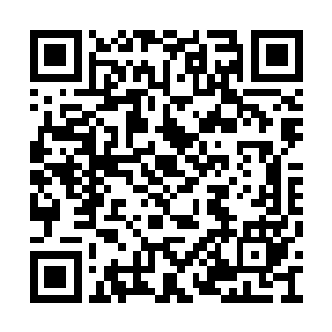 她最看不惯的就是王铮这种自以为是的淡定表情二维码生成