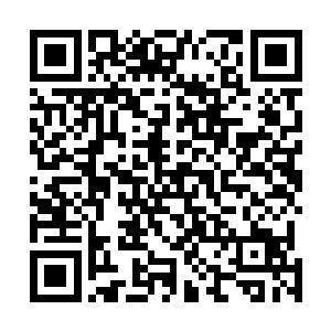 她有些小小的得意――萨尔维的思路和她的猜测相当吻合二维码生成