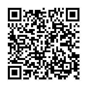 她有些木木的站在原地……略微回了一下头……二维码生成