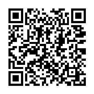 她服软的话让林一峰听了后连忙松开了遏制住她的手腕二维码生成