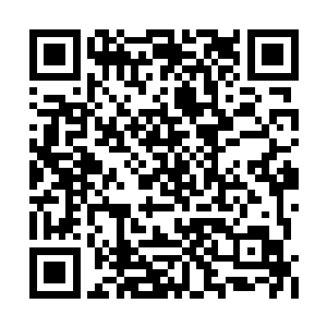 她本以为人狼找到此是因为它们有狗一样的鼻子二维码生成