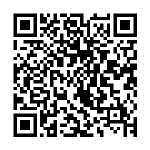 她本来以为自己穿越过来之后所做的一切已经算的上是大手笔了二维码生成