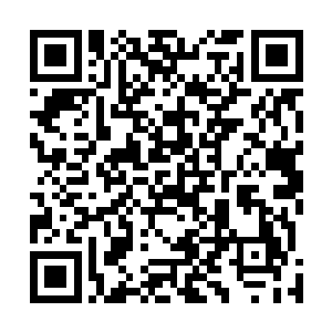 她本来的面貌已经被我们收录在各位手中的拍卖图录中了二维码生成