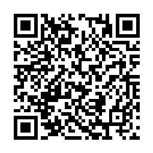 她来这边也只是有楚临和楚逸这两个认识的人而已二维码生成