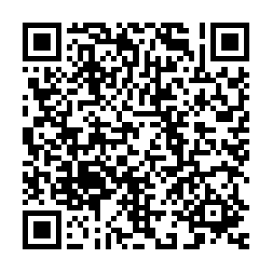 她柔和地注视着这个漂亮又年轻的女孩子――也许她没比她小几岁二维码生成