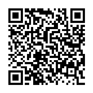 她查到当初琴子牙送来神凰岛的求救信件就是被牧青书扣了下来二维码生成