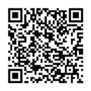 她根本不需要依仗男人来证明她在这个家存在的价值二维码生成