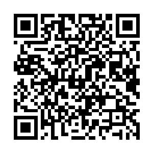 她根本就是失去了对自己的属性之意和元力的控制二维码生成