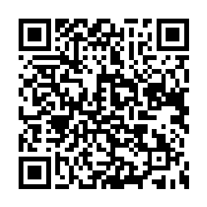 她根本就没有想到这一届的圣子之争会发生改变二维码生成