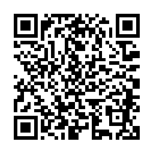 她根本没想到自己的没有表现出来的惊恐会让明潼再一次注意她二维码生成