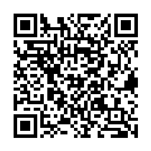 她正在谋划的东西多半就和雷吉斯遗迹里的东西有关系二维码生成