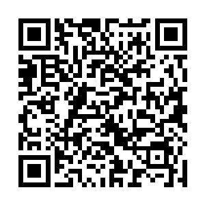 她此刻也不能突然变身成猫侠什么的空手夺枪拯救世界二维码生成