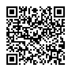 她此刻并不知道自己用了多大力气去咬自己的母亲二维码生成