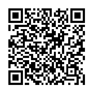 她此刻看着自己的老公和未来女婿的眼神除了满意还是满意二维码生成