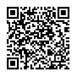 她死死地捏紧着此刻莫子擎身上穿着的那件紧身的白色衬衫二维码生成