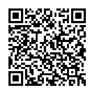 她母亲最终还是没能等到白银教会的牧师的神术二维码生成