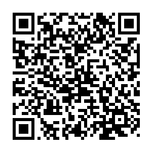 她毫不犹豫地朝着那二十几个利用十二诸象大阵融合的巨人冲了过去二维码生成