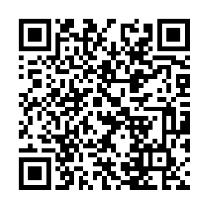 她没办法说扔掉工作然后全心全意的去照顾陆必成二维码生成