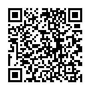 她没想到斯嘉丽竟然真的会留下来和全班的人在一起二维码生成