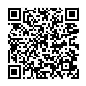 她没想到旭阳会把自己这些年打拼的产业全都留给了自己二维码生成