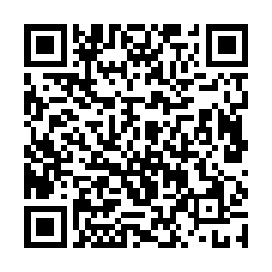她没想到这个在共和国政坛拥有绝对权力的红色家族二维码生成