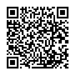 她没撞到南墙没吃到苦头她是无论如何也不会相信别人的劝诫的二维码生成