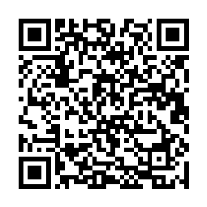 她没有义务要舍弃自己所有的一切去成全别人的利益二维码生成