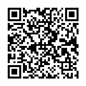 她没有听错吧……三小姐说的是什么……她没想过回去二维码生成