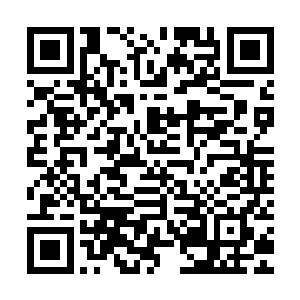 她没有想到刚才自己懒得理会的七个蝼蚁也跑进了这个山谷之中二维码生成