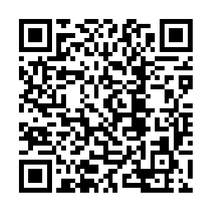 她没有经历过女儿三岁多时候那一次开颅手术的过程二维码生成