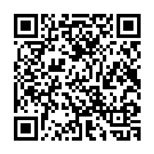 她没能从这个年轻客户脸上捕捉到一点对方对价格的心理反应二维码生成