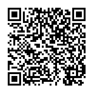 她派出的人也果然在最恰当的时刻毁坏了地下实验基地的供电系统二维码生成