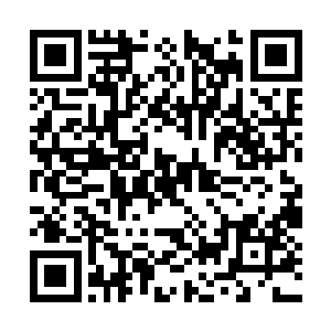 她浑然忘记握着伞柄的小手被陆叔叔的大手包裹住二维码生成